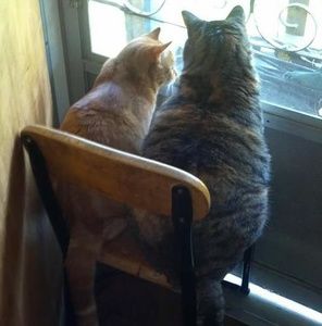 Meet your Posher, Gina